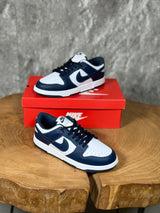 NK DUNK MODEL