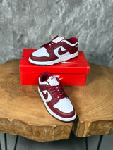 NK DUNK MODEL