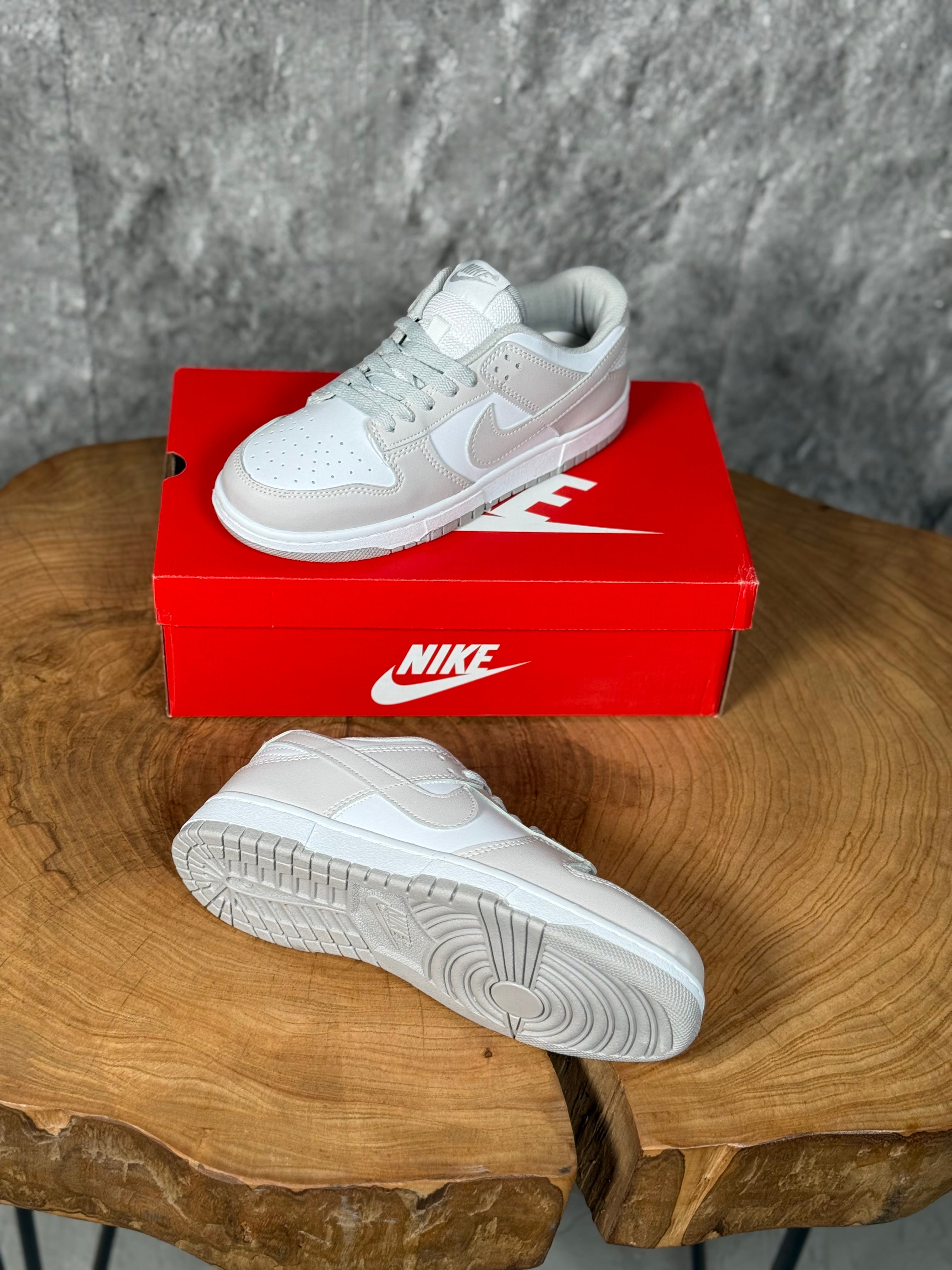 NK DUNK MODEL