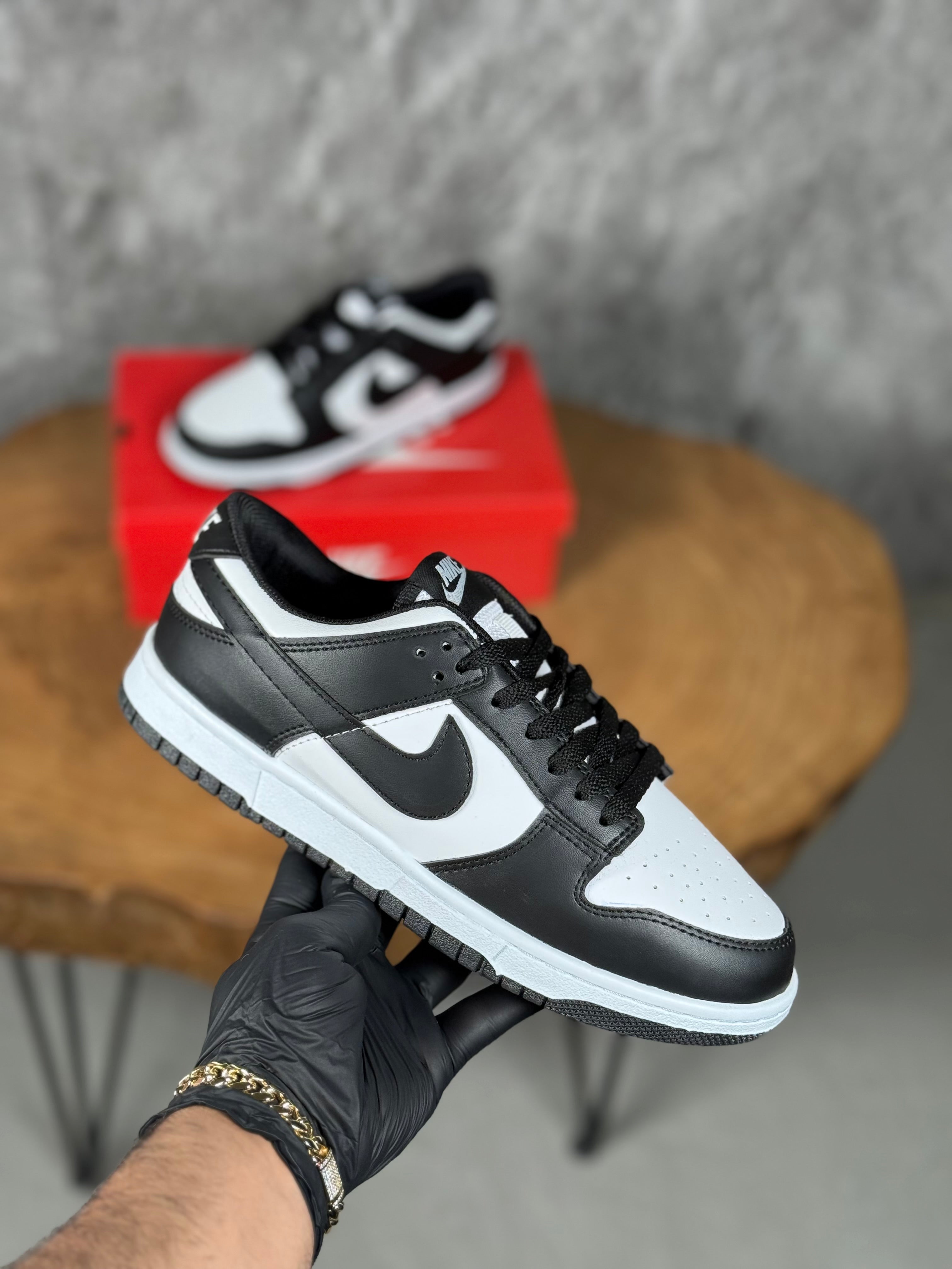 NK DUNK MODEL