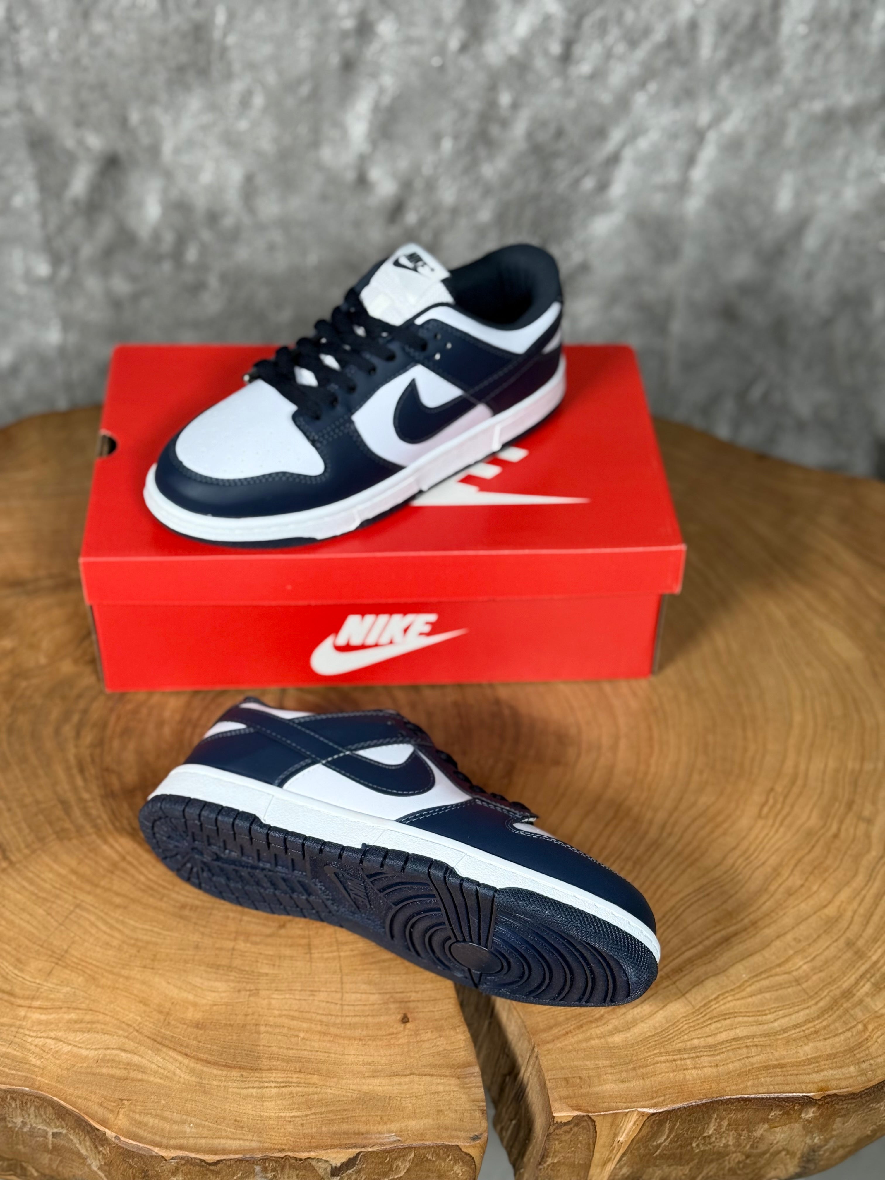 NK DUNK MODEL