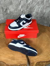 NK DUNK MODEL