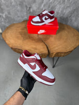NK DUNK MODEL