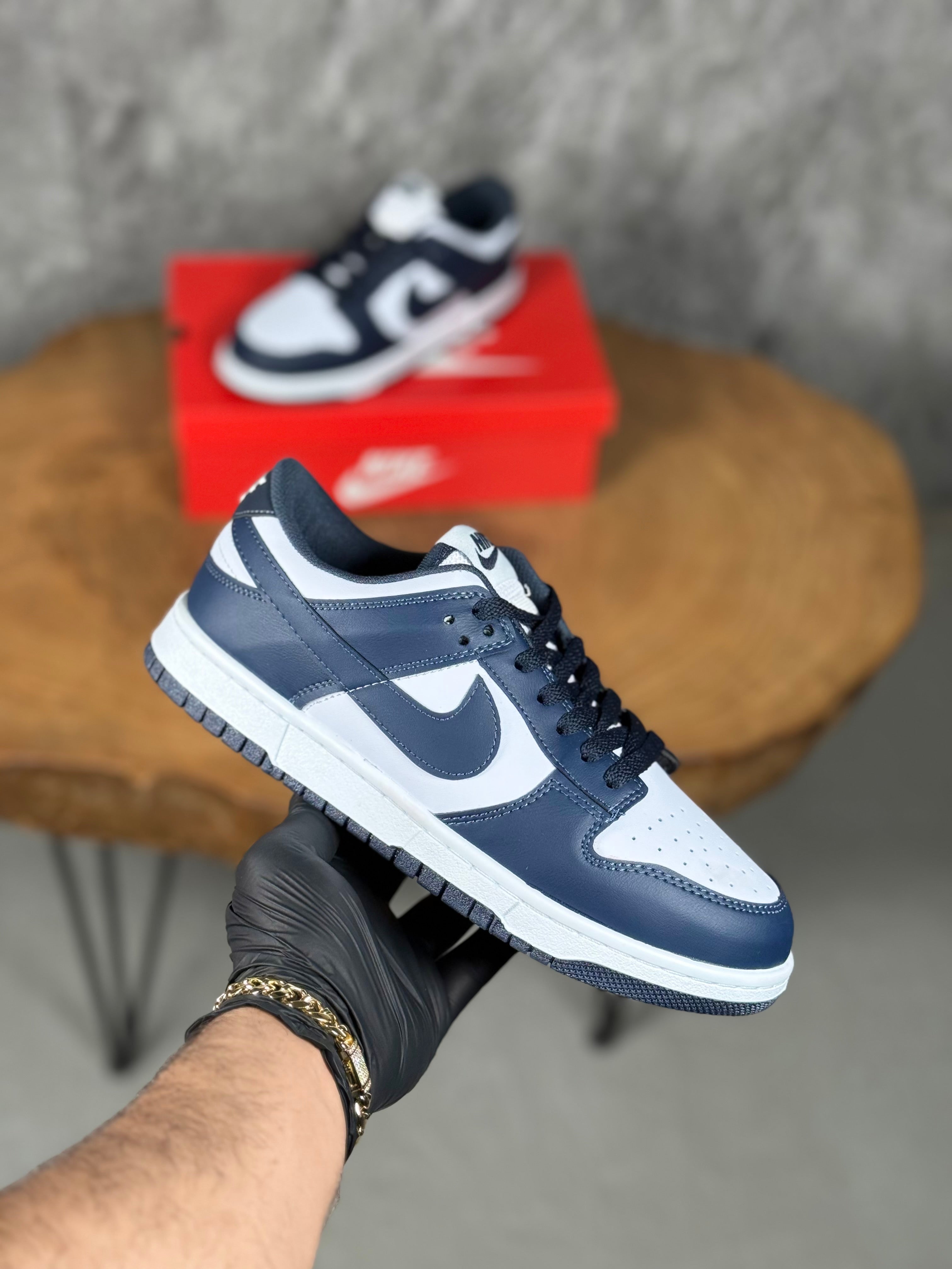 NK DUNK MODEL