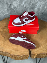 NK DUNK MODEL