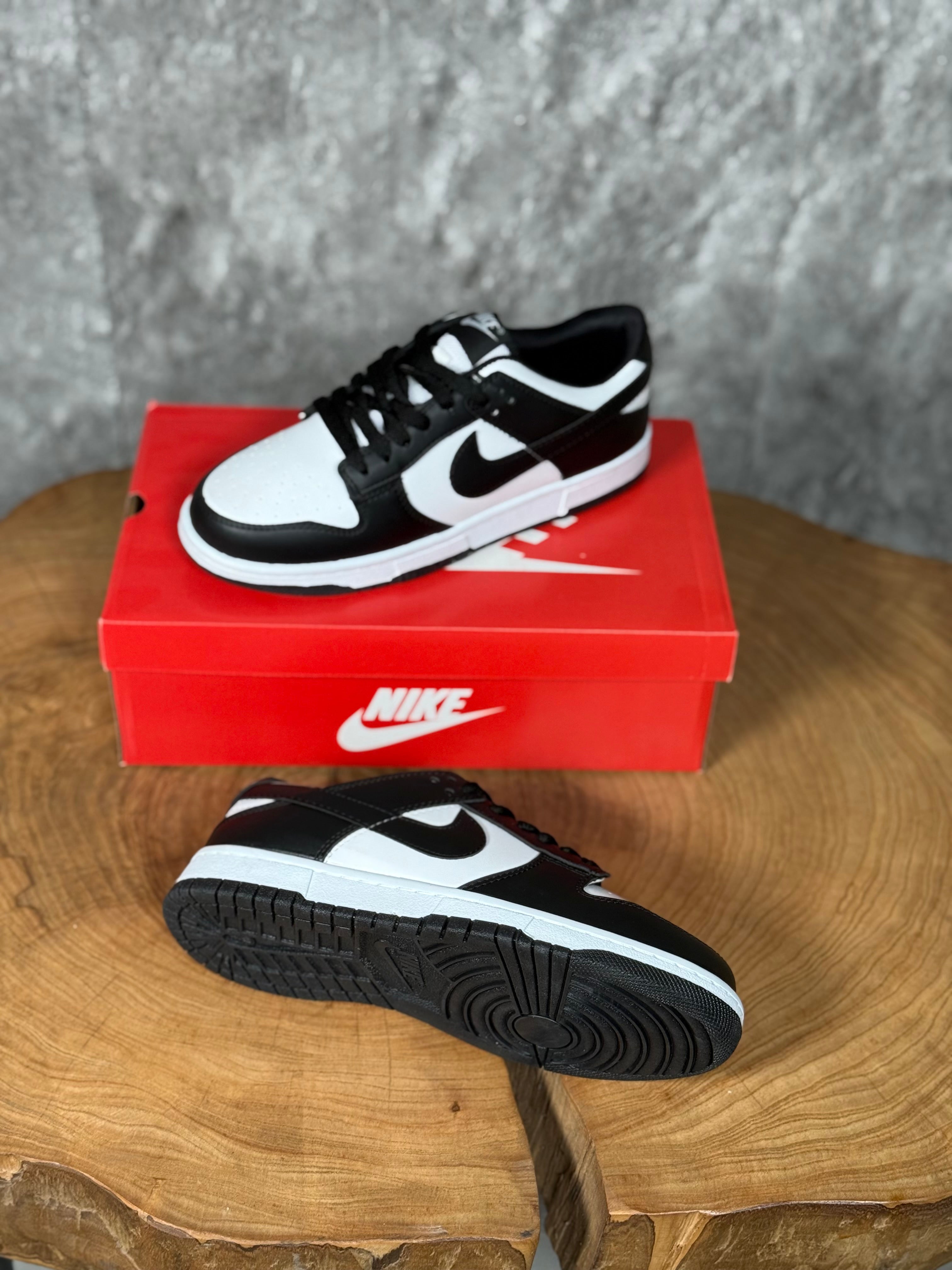 NK DUNK MODEL