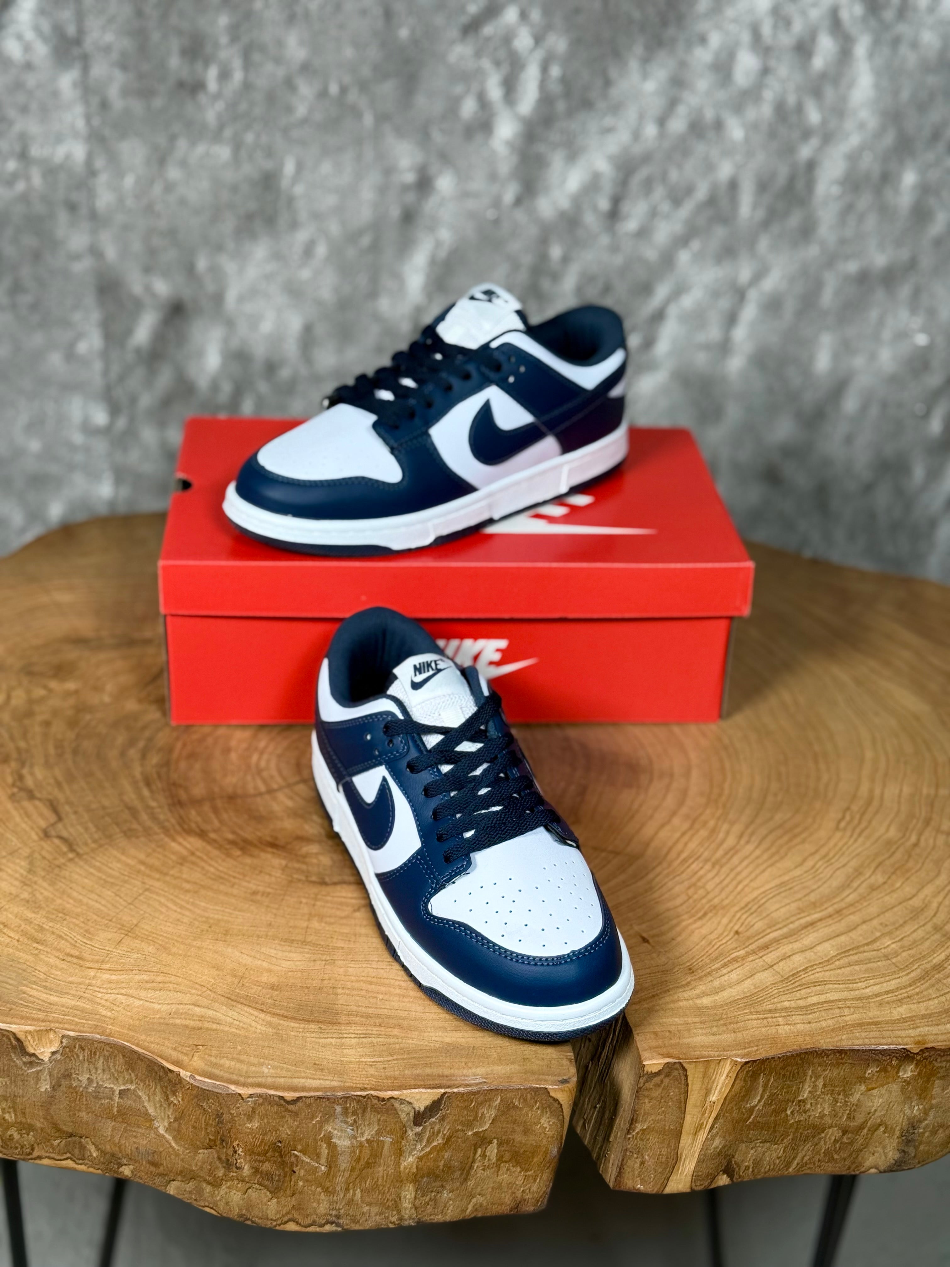NK DUNK MODEL